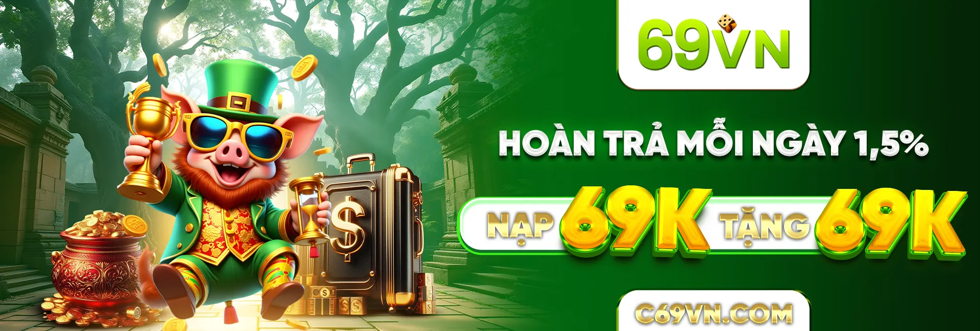 69vn banner